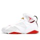 Jordan 7 Retro "Hare CDP" 2008 Pánské/Dámské Boty 304775-102