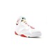 Jordan 7 Retro "Hare CDP" 2008 Pánské/Dámské Boty 304775-102