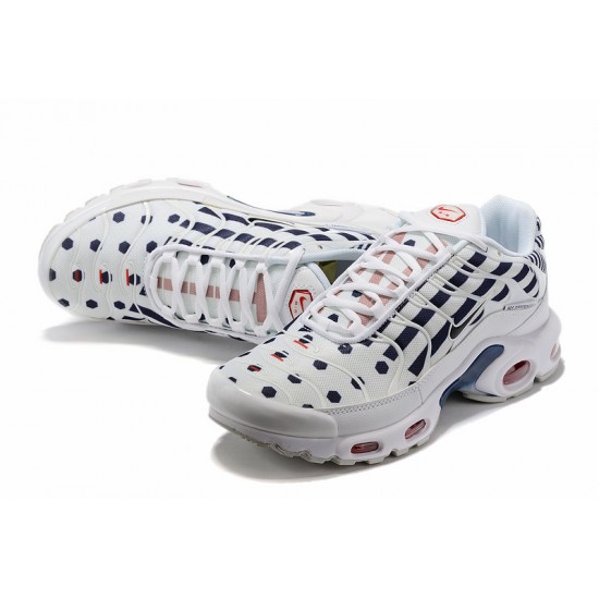 Pánské Nike Air Max Plus Tn Bílá Modrá CI9103-100 Obuv