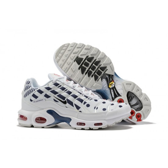 Pánské Nike Air Max Plus Tn Bílá Modrá CI9103-100 Obuv